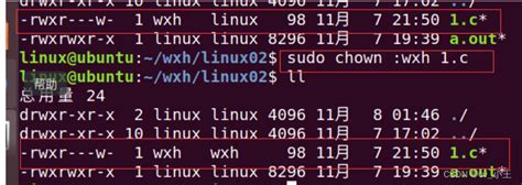Linux Chmod 755 命令：它有什么作用？ .